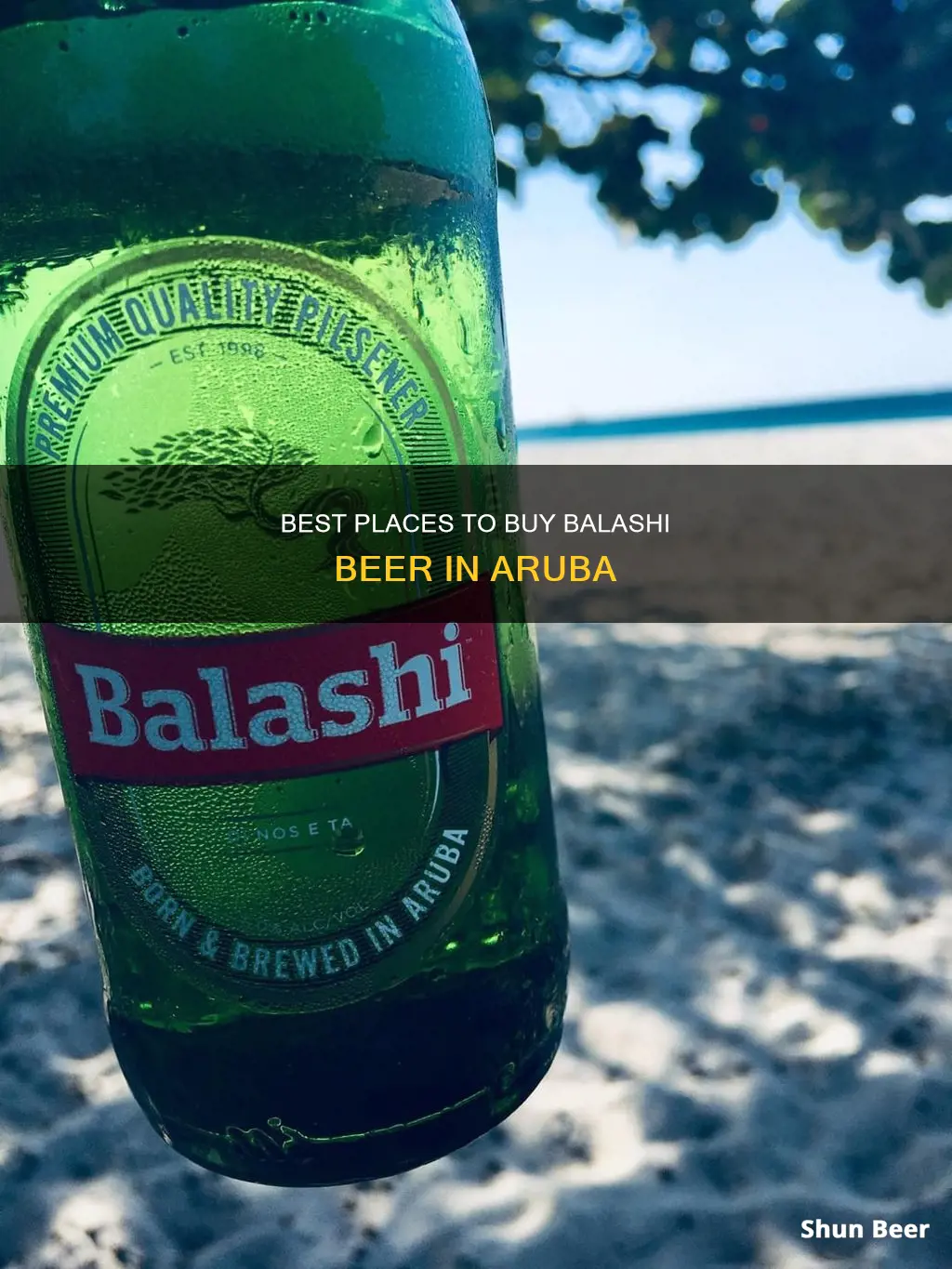 where to buy balashi beer in aruba