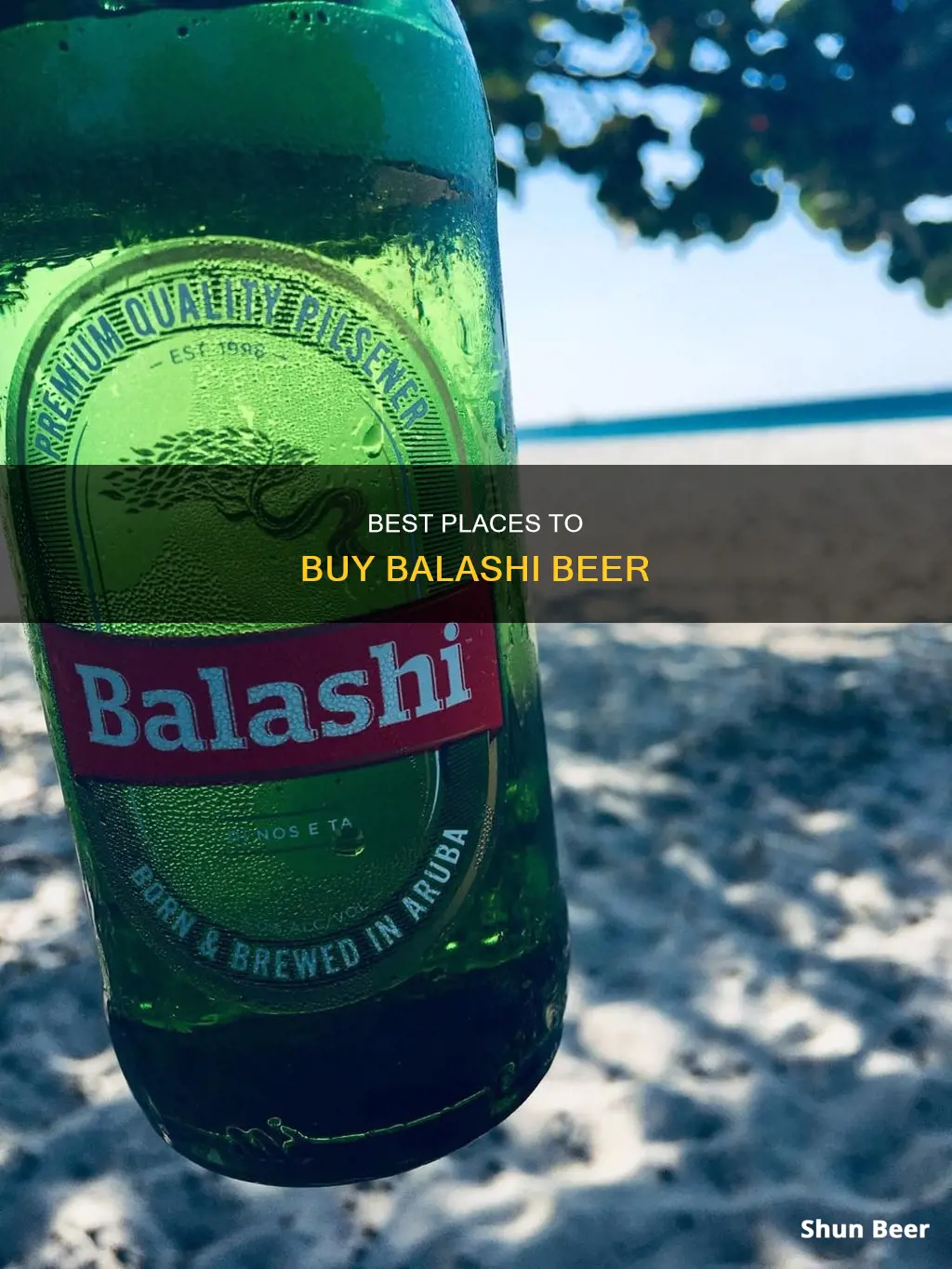 where to buy balashi beer