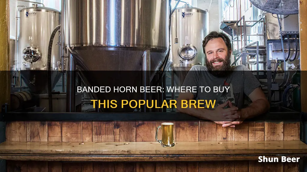 where to buy banded horn beer