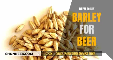 Best Places to Buy Barley for Brewing Beer