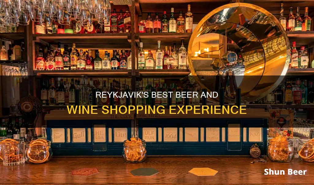 where to buy beer and wine in reykjavik