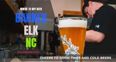 Banner Elk's Best Beer: Where to Buy Local Brews