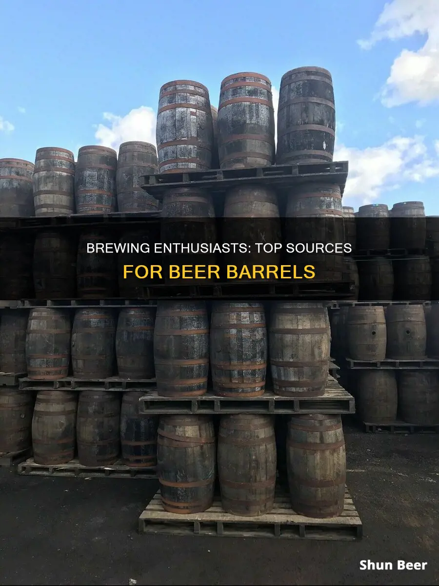 where to buy beer barrels