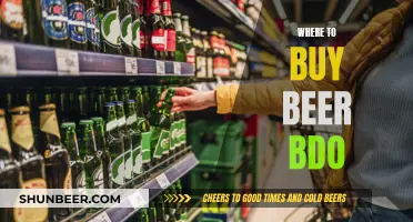 Best BDO Beer Sources: Your Ultimate Guide