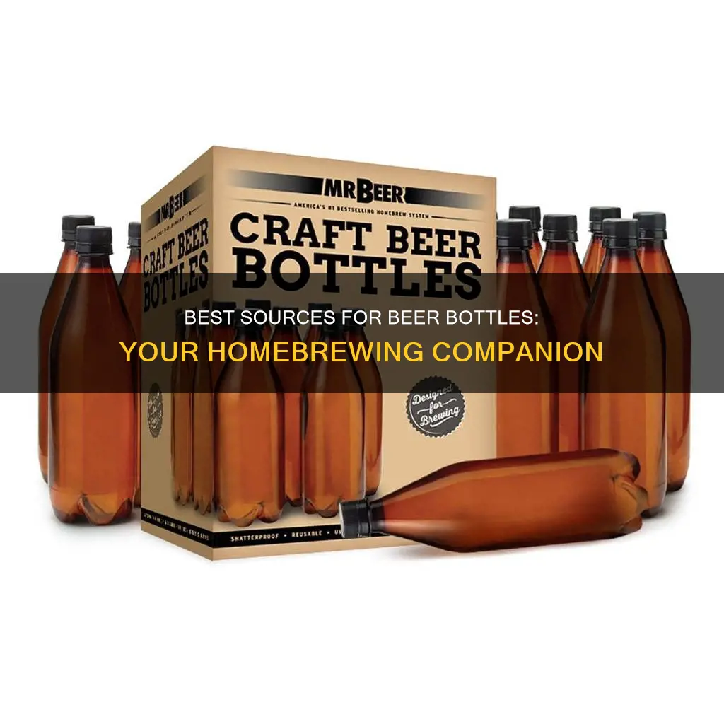 where to buy beer bottle for homebrewing