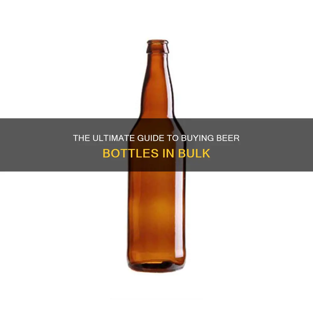 where to buy beer bottles in bulk