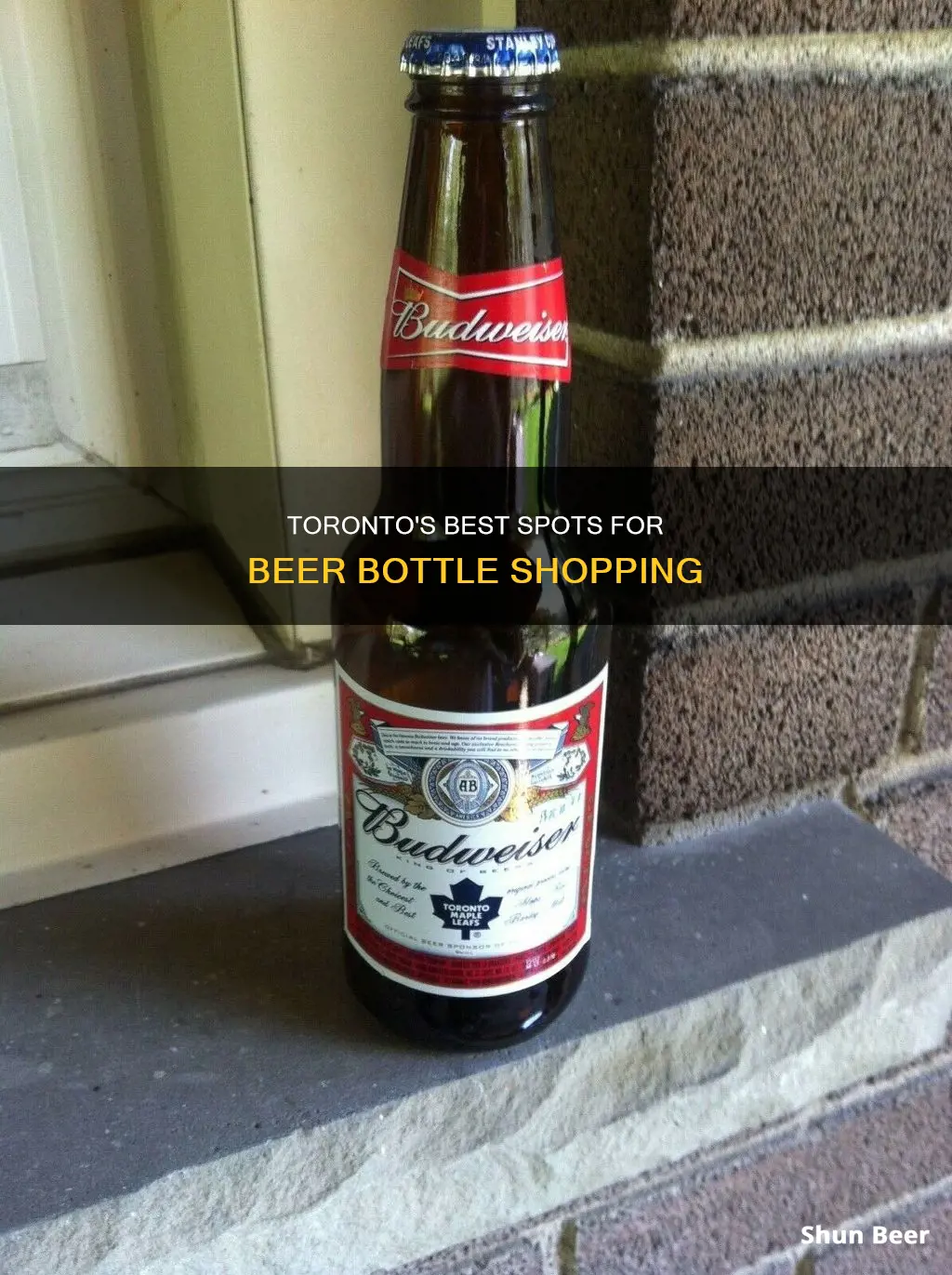 where to buy beer bottles in toronto