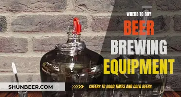 Uncover the Best Sources: Beer Brewing Equipment Shopping Guide