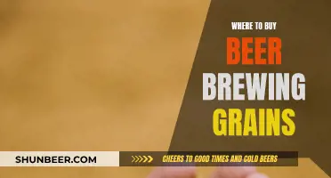 Best Places to Buy Beer Brewing Grains