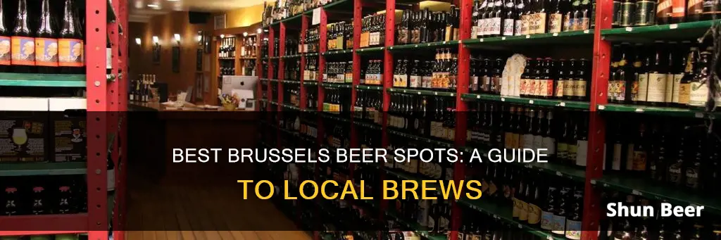 where to buy beer brussels