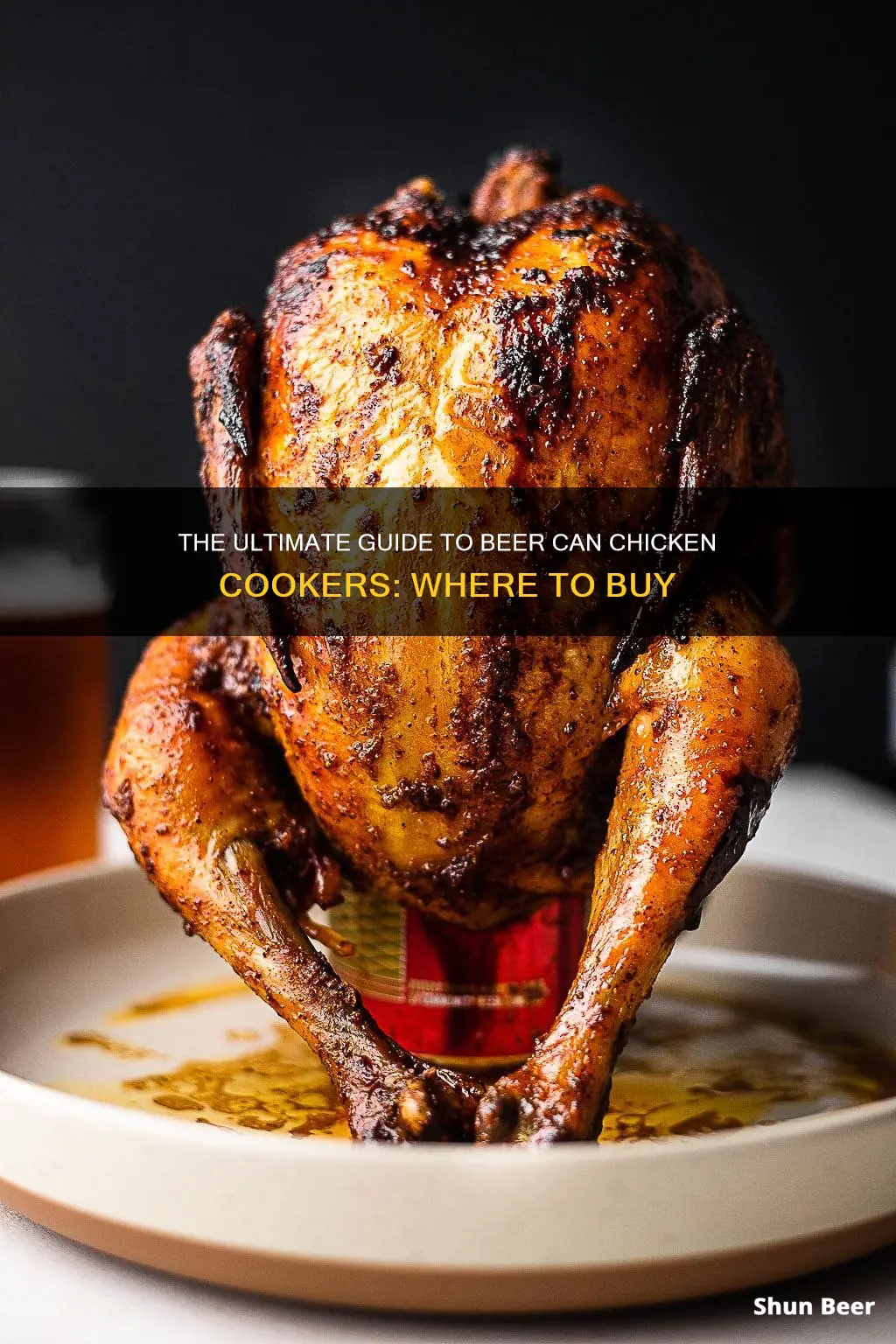 where to buy beer can chicken cooker