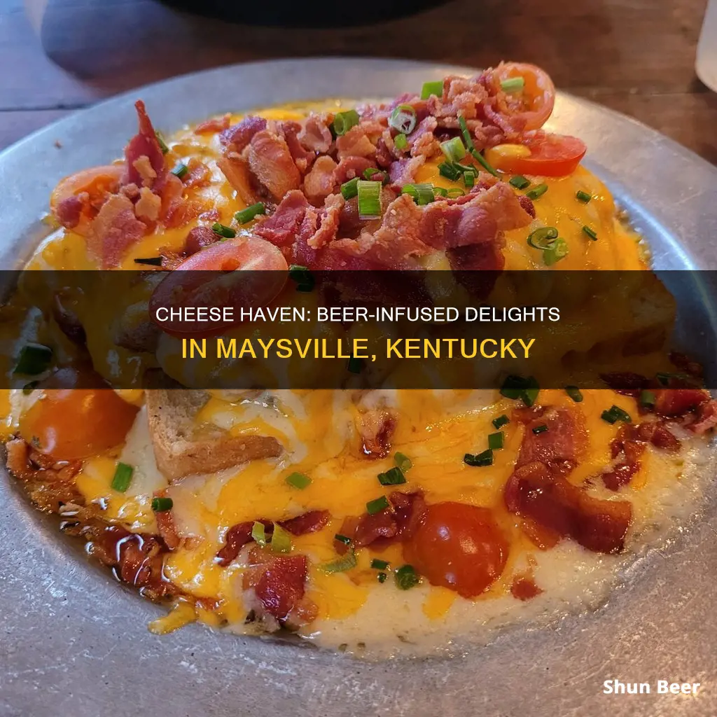 where to buy beer cheese in maysville ky