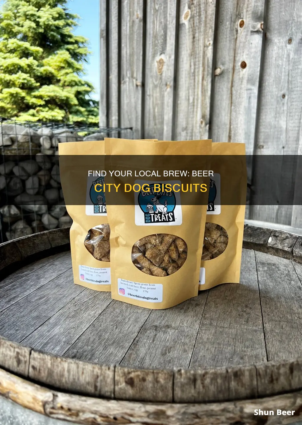 where to buy beer city dog biscuits