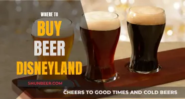 Brewed Magic: Your Guide to Disneyland Beer Purchases