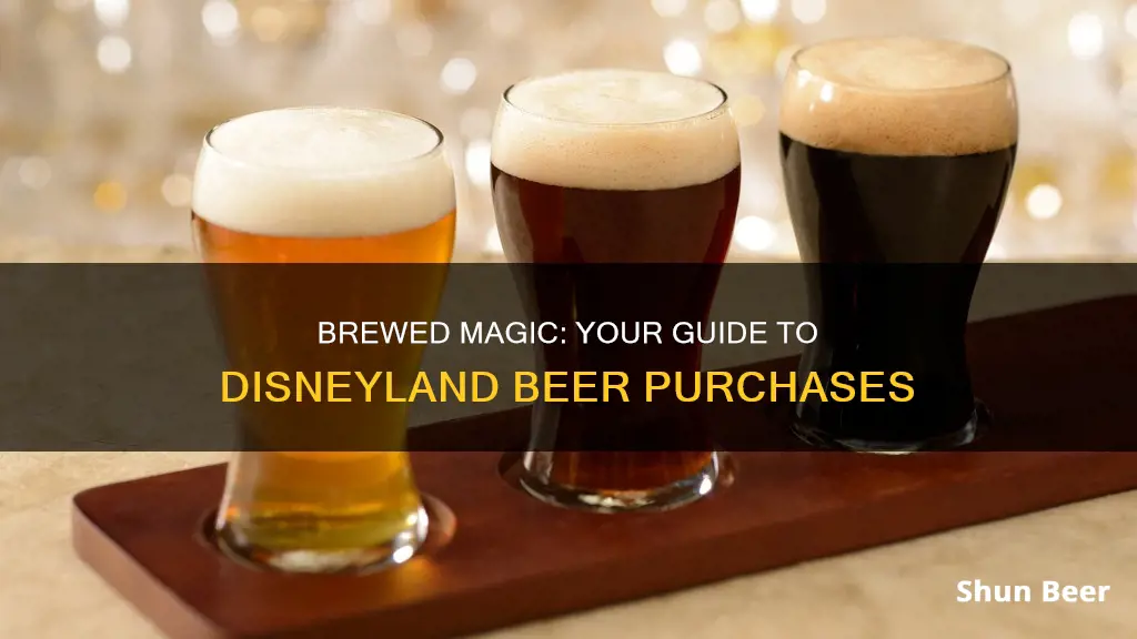 where to buy beer disneyland