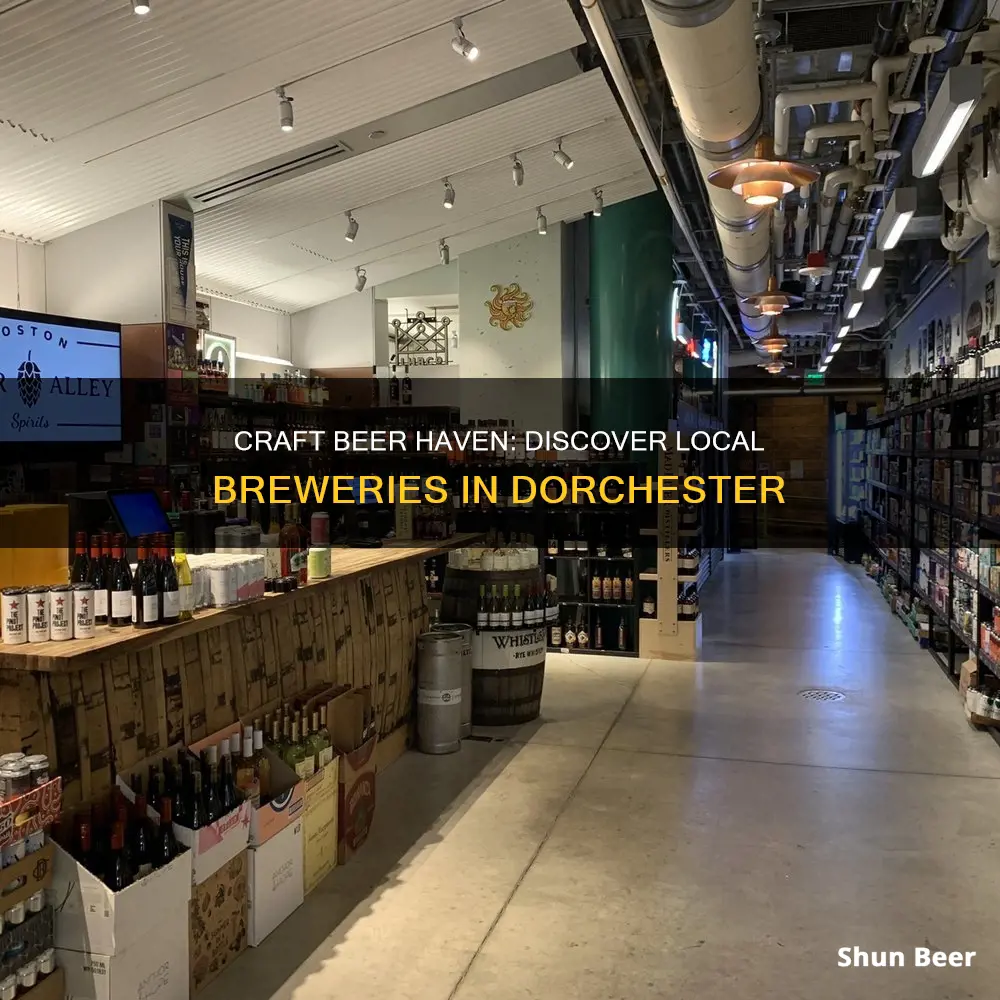 where to buy beer dorchester