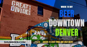 Denver's Best Beer Spots: A Guide to Downtown Brews