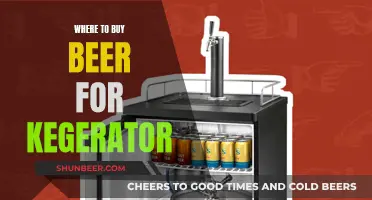 Best Retailers to Buy Beer for Your Kegerator