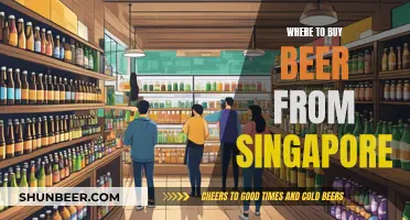 Singapore's Best Beer Spots: A Guide to Local Brews