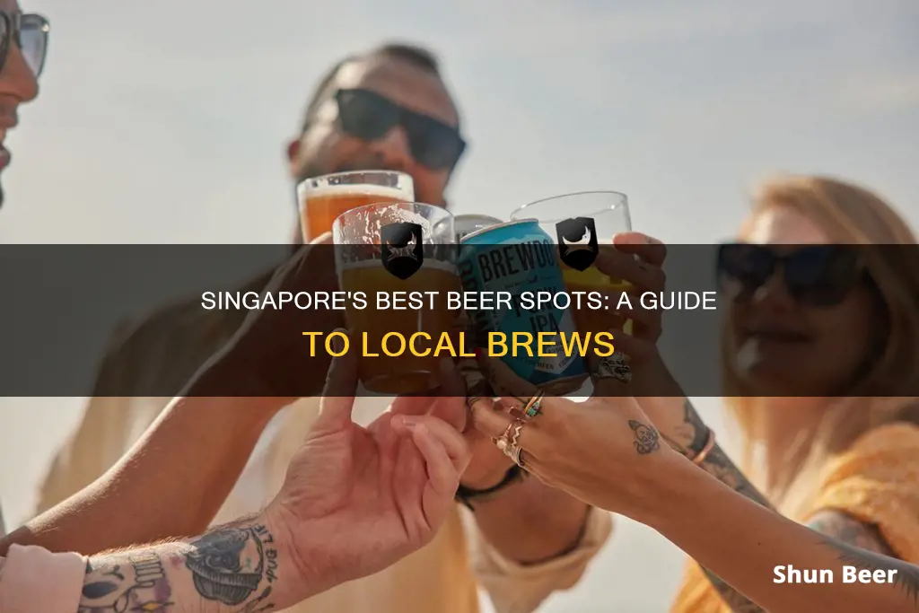 where to buy beer from singapore