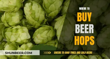 The Ultimate Guide to Buying Beer Hops: Sources & Tips