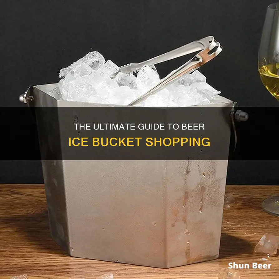 where to buy beer ice bucket