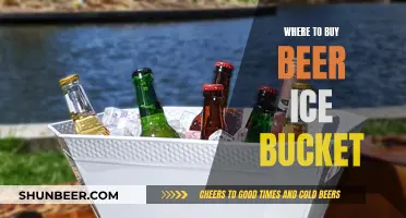 Best Places to Buy Beer Ice Buckets