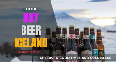 Best Places to Buy Beer in Iceland