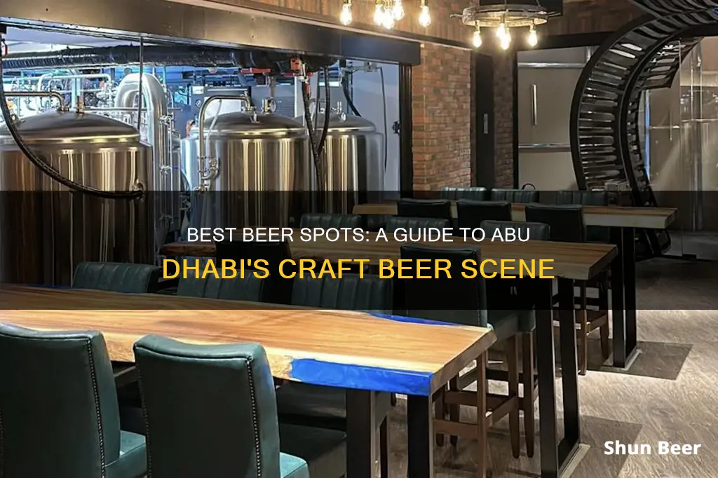 where to buy beer in abu dhabi