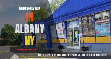 Albany's Best Beer Stores: A Local's Guide