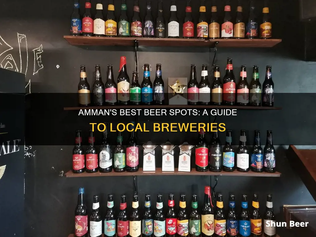 where to buy beer in amman