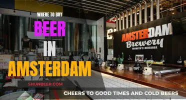 Amsterdam's Best Beer Spots: A Guide to Local Breweries