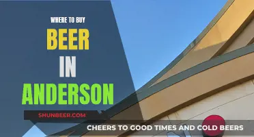 Anderson's Best Beer Spots: A Local's Guide