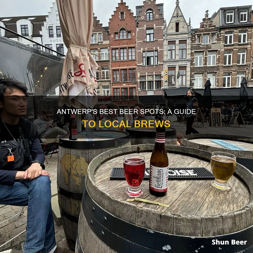 where to buy beer in antwerp