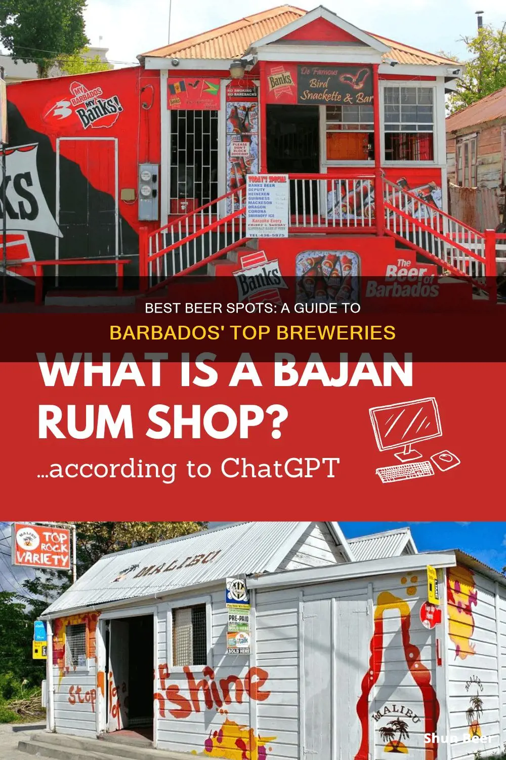 where to buy beer in barbados