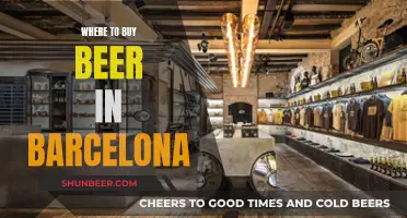 Barcelona's Best Beer Boutiques: A Guide to Local Brews