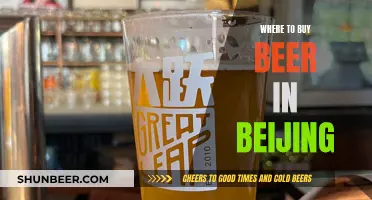 Beijing's Best Beer Spots: A Guide to Local Brews