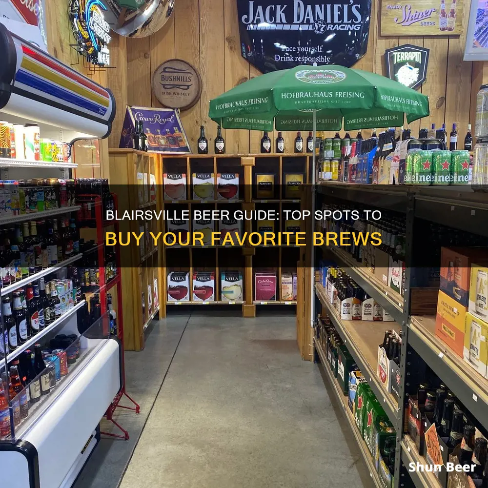 where to buy beer in blairsville ga