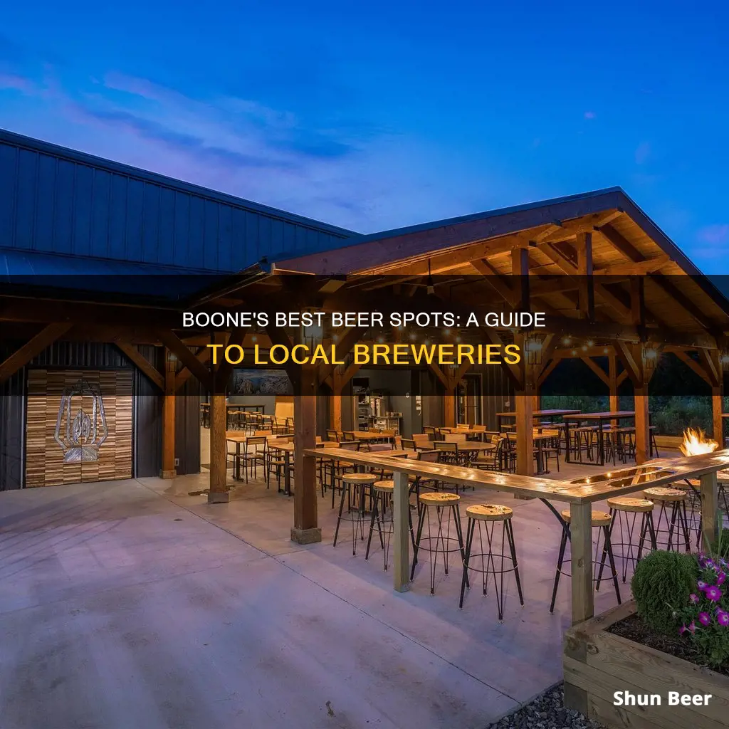 where to buy beer in boone