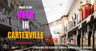 Carterville's Best Beer Spots: A Local's Guide