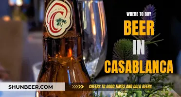 Casablanca's Best Beer Spots: A Local's Guide