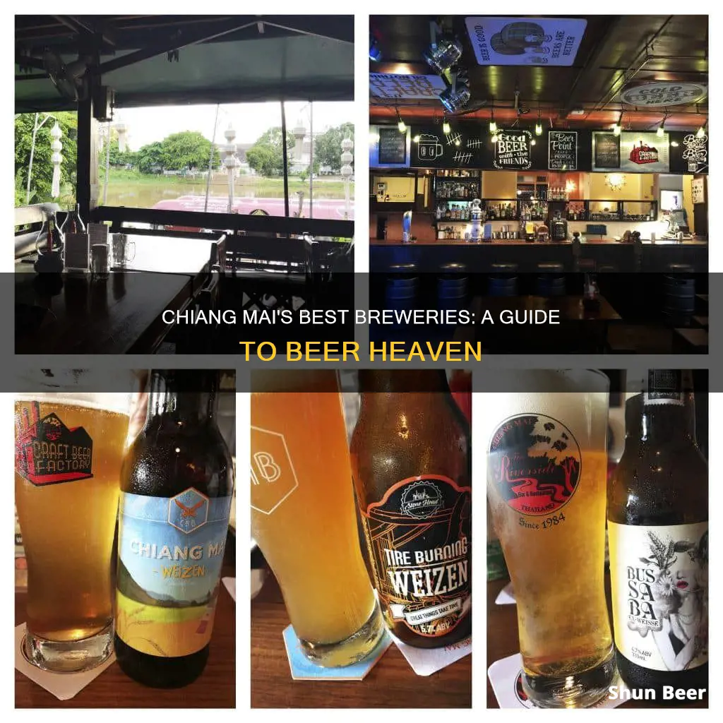 where to buy beer in chiang mai