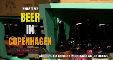 Copenhagen's Best Beer Spots: A Guide to Local Brews