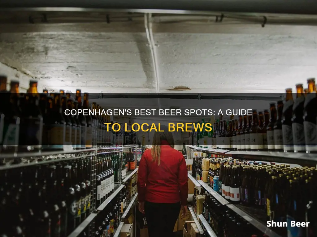 where to buy beer in copenhagen