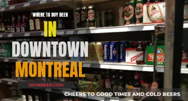 Craft Beer Paradise: Montreal's Downtown Breweries and Bars