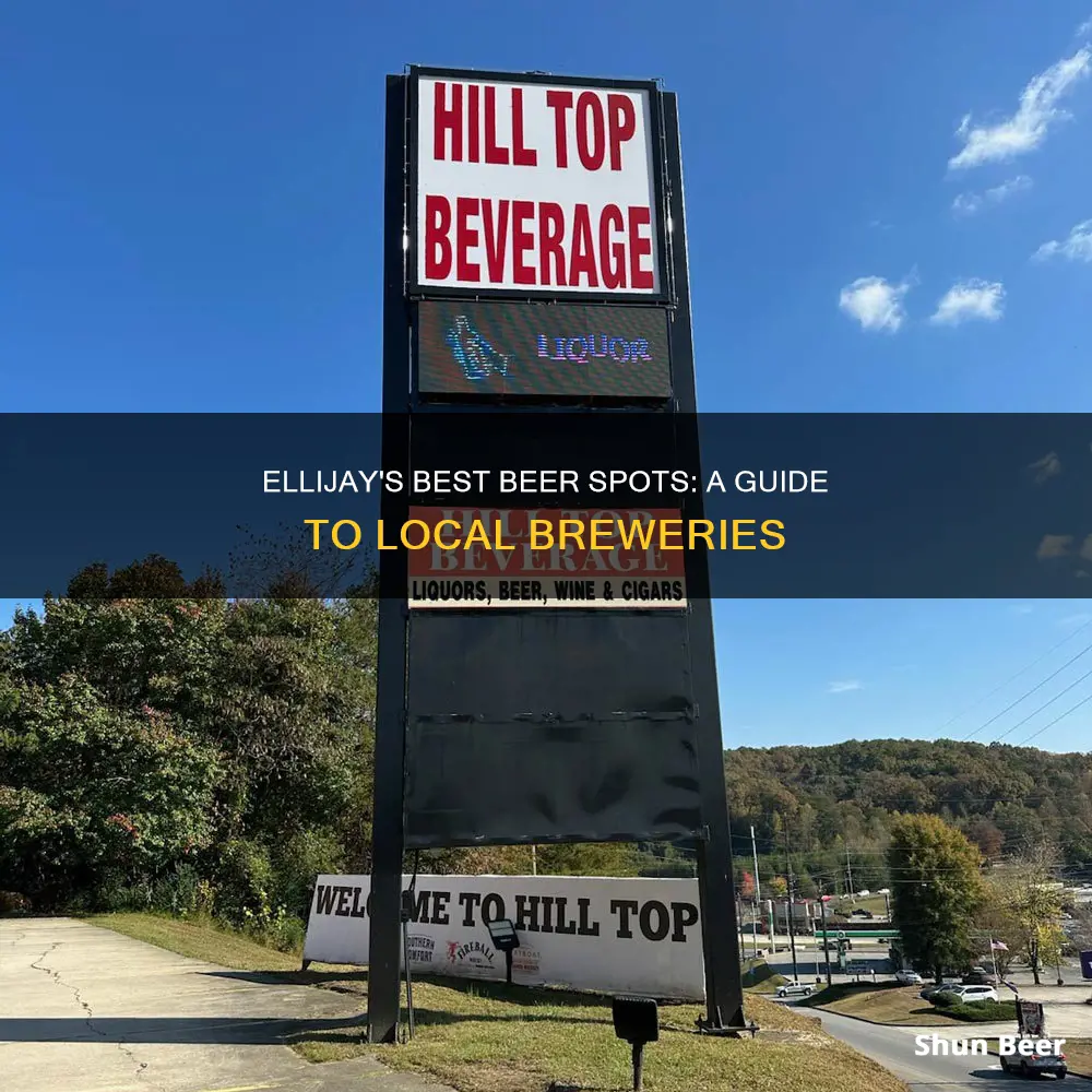 where to buy beer in ellijay