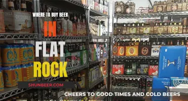 Flat Rock's Best Beer Spots: A Local's Guide