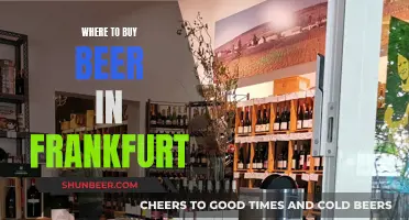 Frankfurt's Best Beer Spots: A Guide to Local Brews