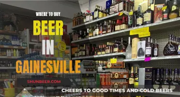 Gainesville's Best Beer Spots: A Local's Guide