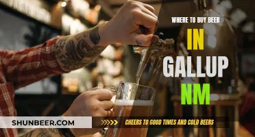 Best Beer Buying Options in Gallup, New Mexico